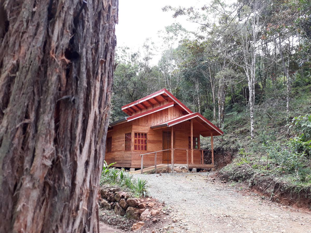 Cabanas El Coyote San Pablo  Kültér fotó