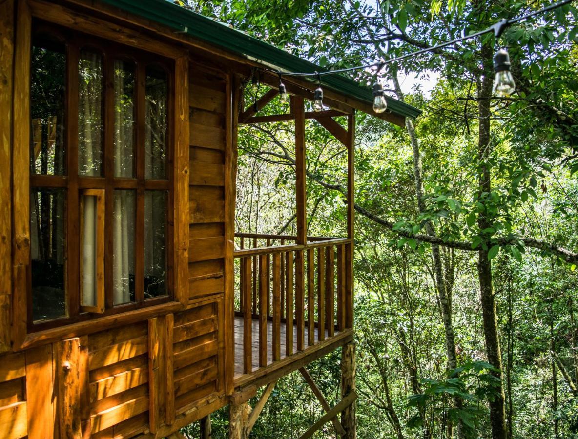 Cabanas El Coyote San Pablo  Kültér fotó