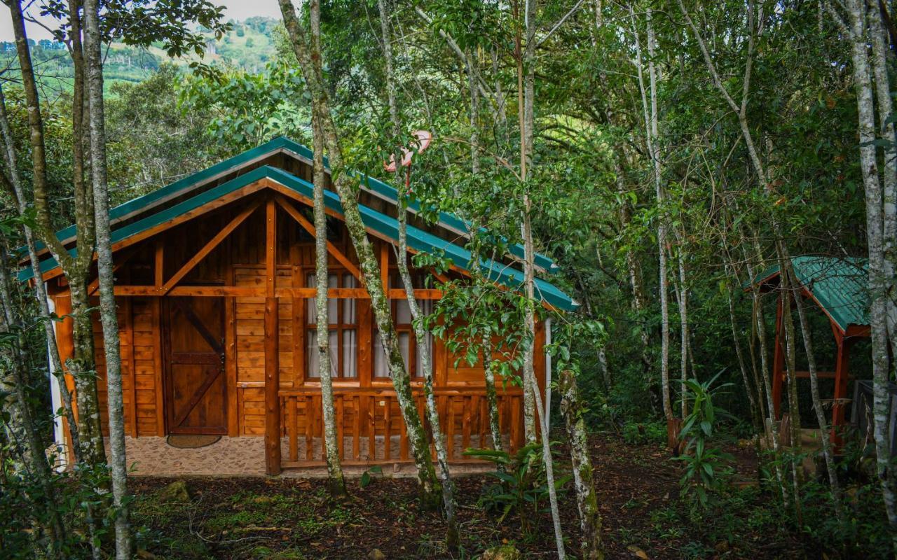 Cabanas El Coyote San Pablo  Kültér fotó